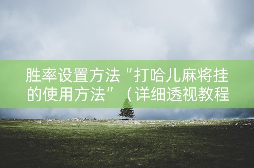 胜率设置方法“打哈儿麻将挂的使用方法”（详细透视教程）-哔哩哔哩
