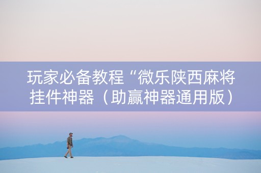 玩家必备教程“微乐陕西麻将挂件神器（助赢神器通用版）
