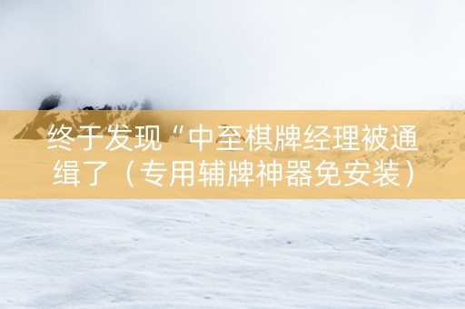 终于发现“中至棋牌经理被通缉了（专用辅牌神器免安装）