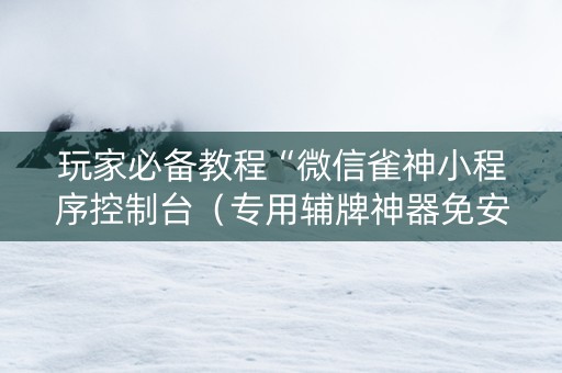 玩家必备教程“微信雀神小程序控制台（专用辅牌神器免安装）