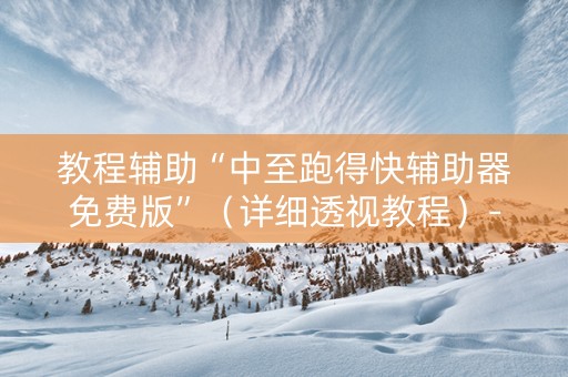 教程辅助“中至跑得快辅助器免费版”（详细透视教程）-哔哩哔哩