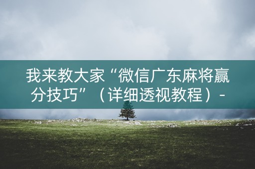 我来教大家“微信广东麻将赢分技巧”（详细透视教程）-哔哩哔哩