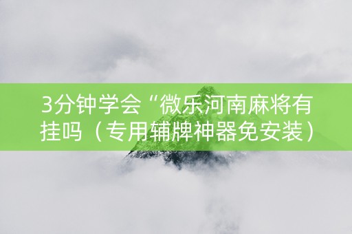 3分钟学会“微乐河南麻将有挂吗（专用辅牌神器免安装）