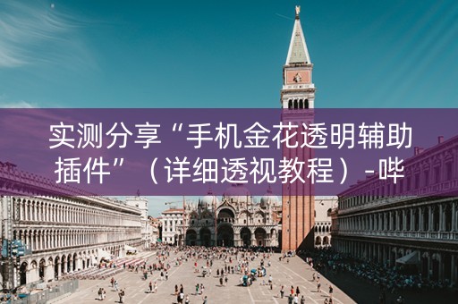 实测分享“手机金花透明辅助插件”（详细透视教程）-哔哩哔哩