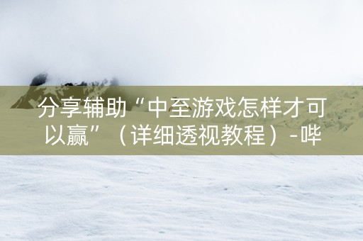分享辅助“中至游戏怎样才可以赢”（详细透视教程）-哔哩哔哩