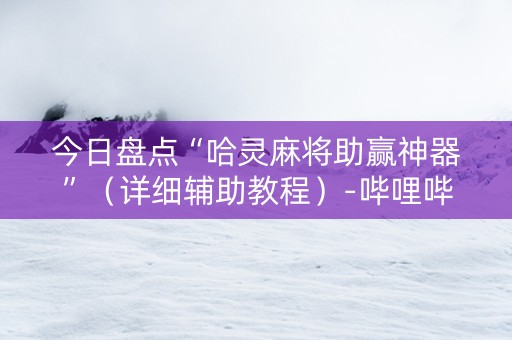 今日盘点“哈灵麻将助赢神器”（详细辅助教程）-哔哩哔哩