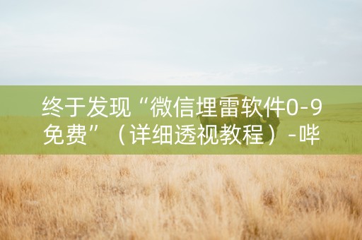 终于发现“微信埋雷软件0-9免费”（详细透视教程）-哔哩哔哩