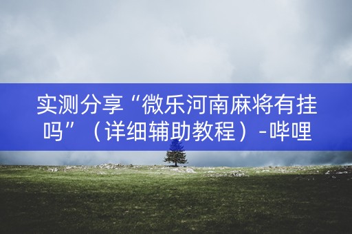 实测分享“微乐河南麻将有挂吗”（详细辅助教程）-哔哩哔哩