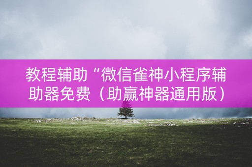 教程辅助“微信雀神小程序辅助器免费（助赢神器通用版）