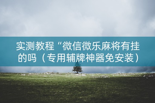 实测教程“微信微乐麻将有挂的吗（专用辅牌神器免安装）