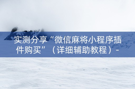 实测分享“微信麻将小程序插件购买”（详细辅助教程）-哔哩哔哩