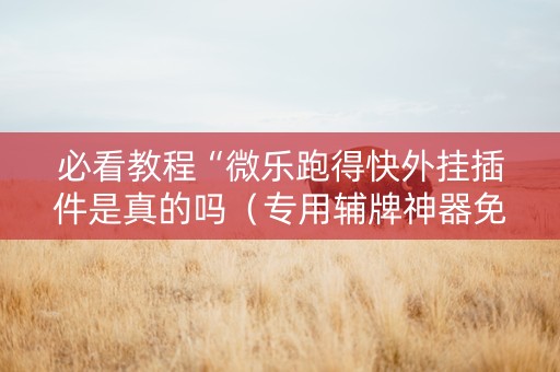 必看教程“微乐跑得快外挂插件是真的吗（专用辅牌神器免安装）