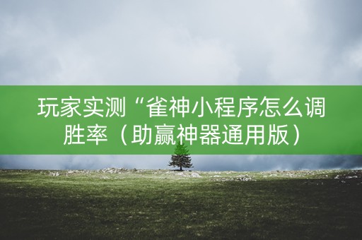 玩家实测“雀神小程序怎么调胜率（助赢神器通用版）