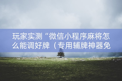 玩家实测“微信小程序麻将怎么能调好牌（专用辅牌神器免安装）