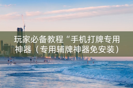 玩家必备教程“手机打牌专用神器（专用辅牌神器免安装）