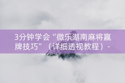 3分钟学会“微乐湖南麻将赢牌技巧”（详细透视教程）-哔哩哔哩