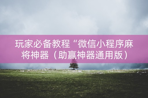 玩家必备教程“微信小程序麻将神器（助赢神器通用版）