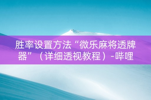 胜率设置方法“微乐麻将透牌器”（详细透视教程）-哔哩哔哩