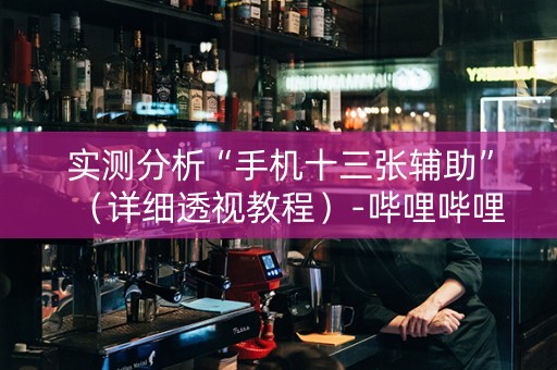 实测分析“手机十三张辅助”（详细透视教程）-哔哩哔哩