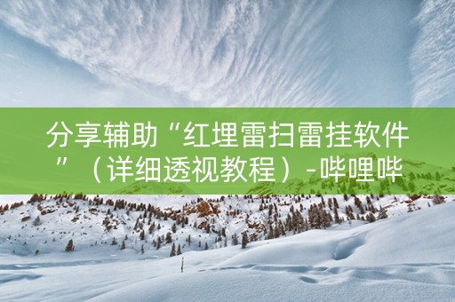 分享辅助“红埋雷扫雷挂软件”（详细透视教程）-哔哩哔哩