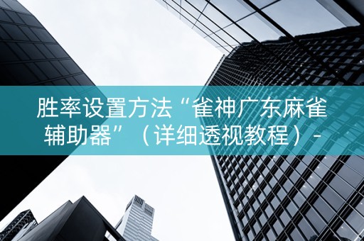 胜率设置方法“雀神广东麻雀辅助器”（详细透视教程）-哔哩哔哩