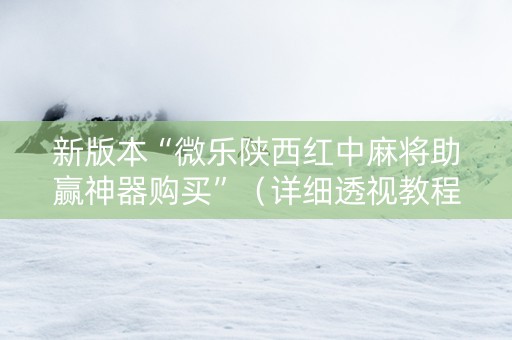 新版本“微乐陕西红中麻将助赢神器购买”（详细透视教程）-哔哩哔哩