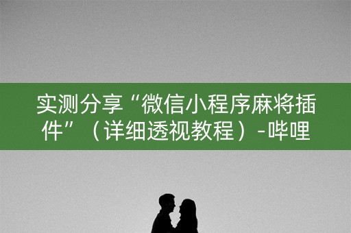 实测分享“微信小程序麻将插件”（详细透视教程）-哔哩哔哩