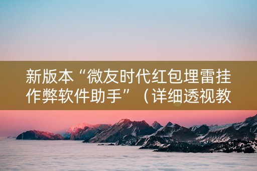 新版本“微友时代红包埋雷挂作弊软件助手”（详细透视教程）-哔哩哔哩
