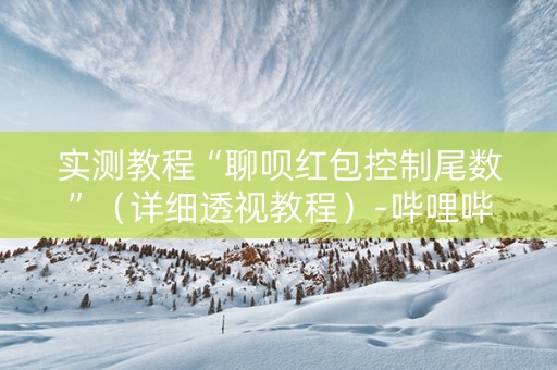 实测教程“聊呗红包控制尾数”（详细透视教程）-哔哩哔哩