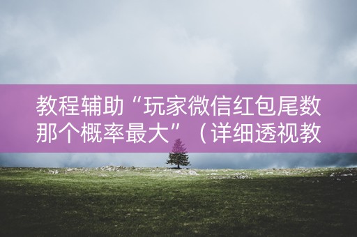 教程辅助“玩家微信红包尾数那个概率最大”（详细透视教程）-哔哩哔哩