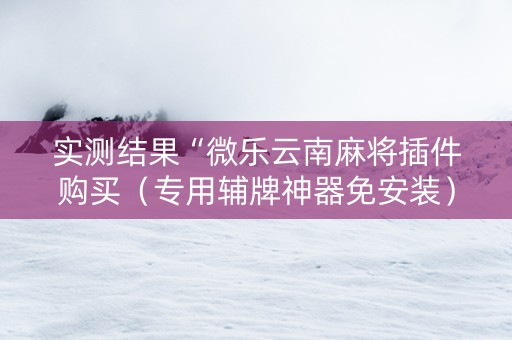 实测结果“微乐云南麻将插件购买（专用辅牌神器免安装）