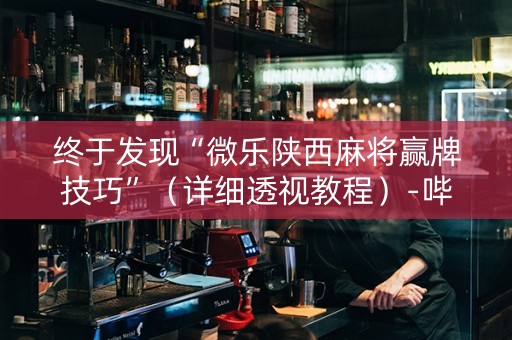 终于发现“微乐陕西麻将赢牌技巧”（详细透视教程）-哔哩哔哩