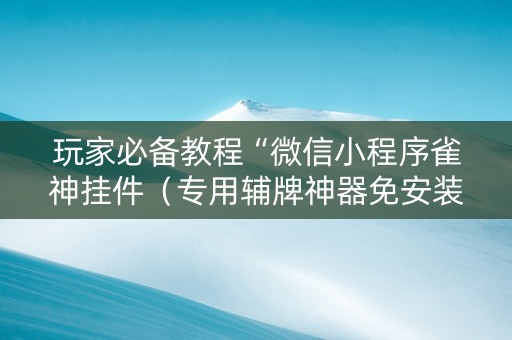 玩家必备教程“微信小程序雀神挂件（专用辅牌神器免安装）