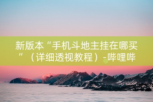 新版本“手机斗地主挂在哪买”（详细透视教程）-哔哩哔哩
