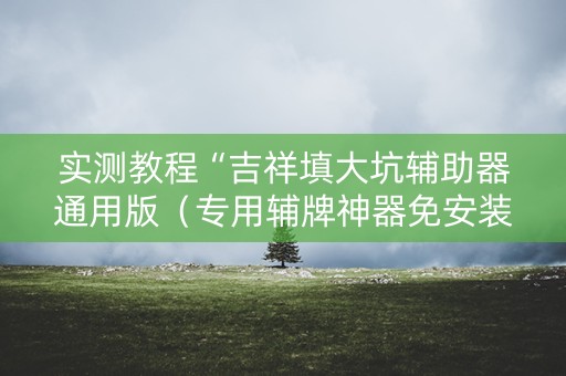 实测教程“吉祥填大坑辅助器通用版（专用辅牌神器免安装）