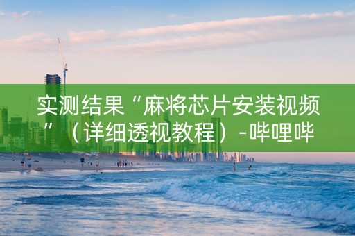 实测结果“麻将芯片安装视频”（详细透视教程）-哔哩哔哩
