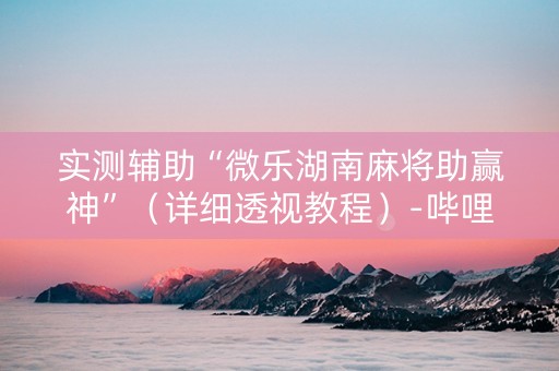 实测辅助“微乐湖南麻将助赢神”（详细透视教程）-哔哩哔哩