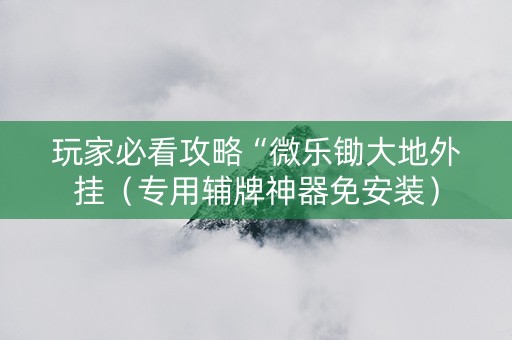 玩家必看攻略“微乐锄大地外挂（专用辅牌神器免安装）