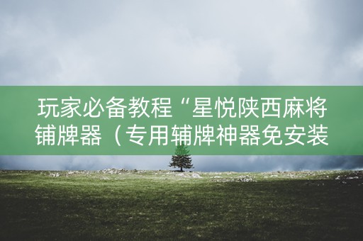 玩家必备教程“星悦陕西麻将铺牌器（专用辅牌神器免安装）