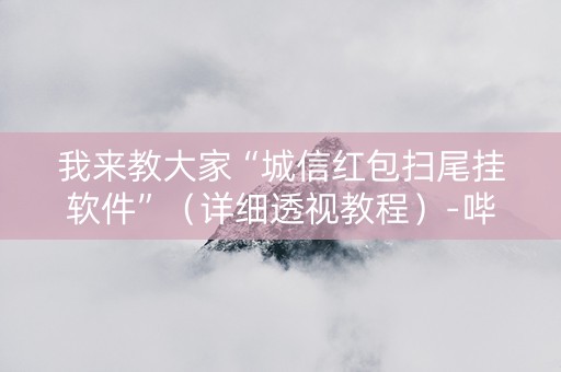 我来教大家“城信红包扫尾挂软件”（详细透视教程）-哔哩哔哩
