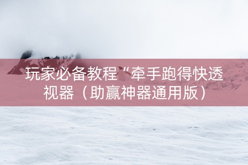 玩家必备教程“牵手跑得快透视器（助赢神器通用版）