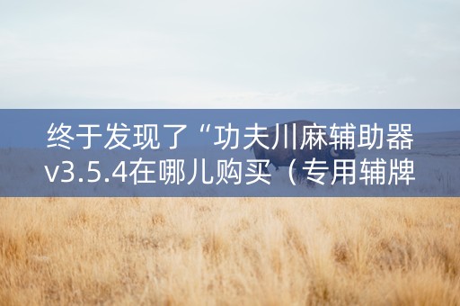 终于发现了“功夫川麻辅助器v3.5.4在哪儿购买（专用辅牌神器免安装）
