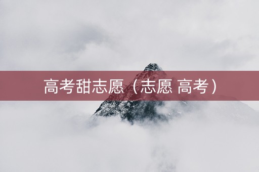 高考甜志愿（志愿 高考）