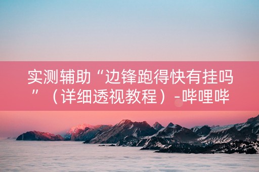 实测辅助“边锋跑得快有挂吗”（详细透视教程）-哔哩哔哩