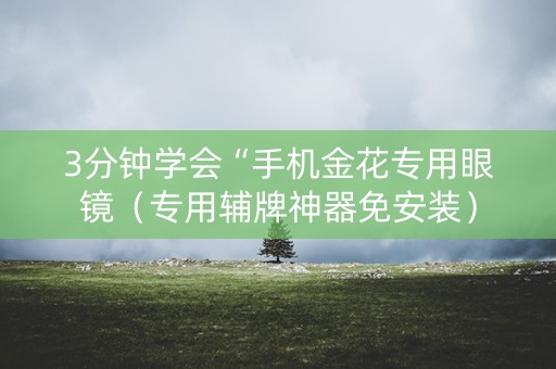 3分钟学会“手机金花专用眼镜（专用辅牌神器免安装）