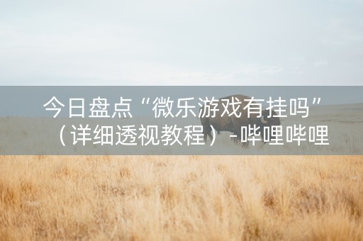 今日盘点“微乐游戏有挂吗”（详细透视教程）-哔哩哔哩