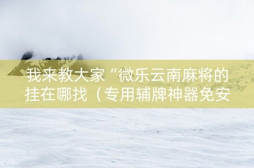 我来教大家“微乐云南麻将的挂在哪找（专用辅牌神器免安装）