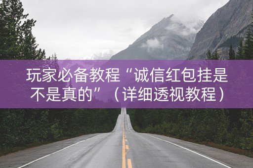 玩家必备教程“诚信红包挂是不是真的”（详细透视教程）-哔哩哔哩