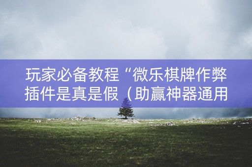 玩家必备教程“微乐棋牌作弊插件是真是假（助赢神器通用版）