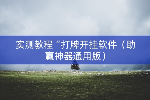 实测教程“打牌开挂软件（助赢神器通用版）